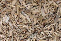 biomass boilers Clapton In Gordano